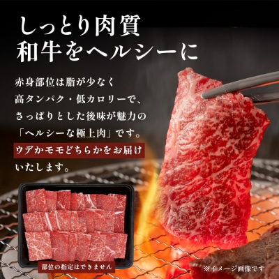 宮崎牛 赤身 焼肉用 約500g×1P