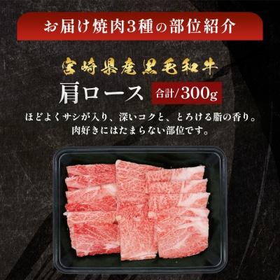宮崎県産黒毛和牛 焼肉3種セット 計900g