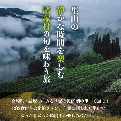 森の民宿 樹の里 宿泊券(17,600円分)里山の旬を味わう旅 in 諸塚村 1名様プラン 1泊2食