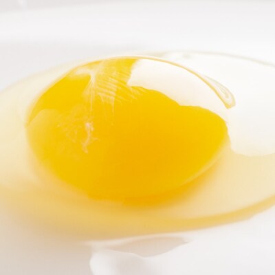 平飼い有精卵『たつかの恵み』40個×3ヶ月連続お届け SBTT002