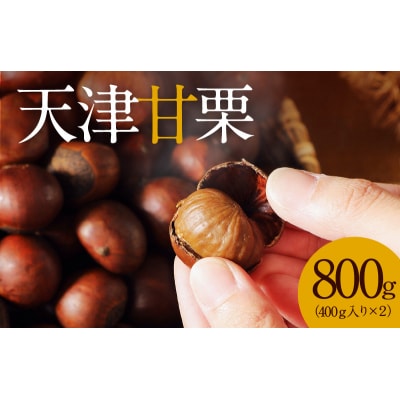 この道50年の職人が焼く、やさしい甘みたっぷりの「天津甘栗」800g! H045-053