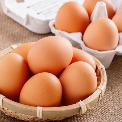 平飼い有精卵『たつかの恵み』40個 SBTT011