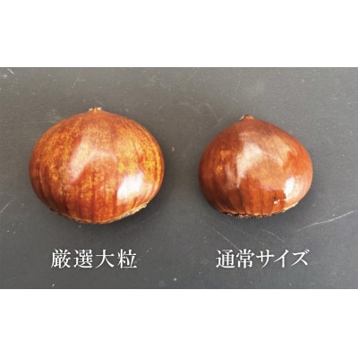 この道50年の職人が焼く「厳選大粒」天津甘栗 560g! H045-064