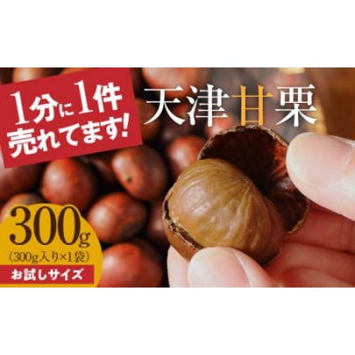 【お試し】この道50年の職人が焼く、「天津甘栗」300g! H045-068