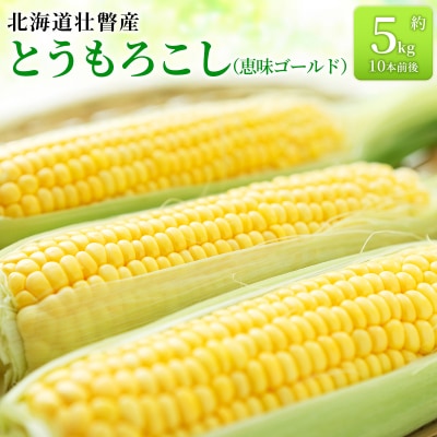 <2026年8月上旬より順次お届け>壮瞥町産とうもろこし(恵味ゴールド)約5kg SBTA001