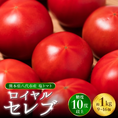 先行予約くまもと塩トマト ロイヤルセレブ約1kg 2027年1月上旬より順次発送026-2904-D