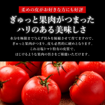 先行予約くまもと塩トマト ロイヤルセレブ約1kg 2027年1月上旬より順次発送026-2904-D