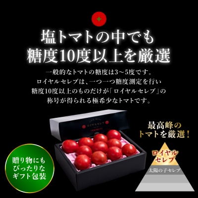 先行予約くまもと塩トマト ロイヤルセレブ約1kg 2027年1月上旬より順次発送026-2904-D