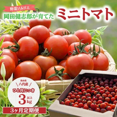 【先行予約】定期便3回 野菜ソムリエ岡田健志郎が育てた ミニトマト3kg_075-6232-B