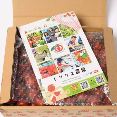 【先行予約】定期便3回 野菜ソムリエ岡田健志郎が育てた ミニトマト3kg_075-6232-B