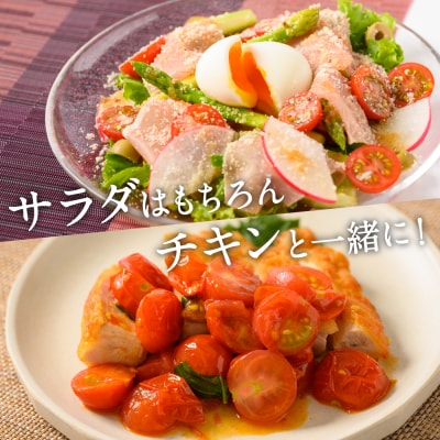 【先行予約】定期便3回 野菜ソムリエ岡田健志郎が育てた ミニトマト3kg_075-6232-B