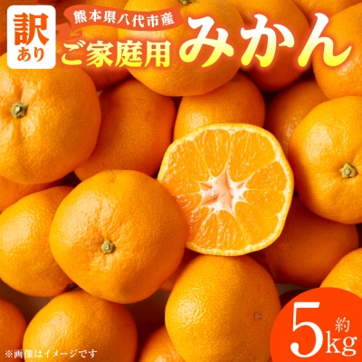 【先行予約】【訳あり】家庭用みかん 約5kg【2026年9月下旬より順次発送】_001-4031-F