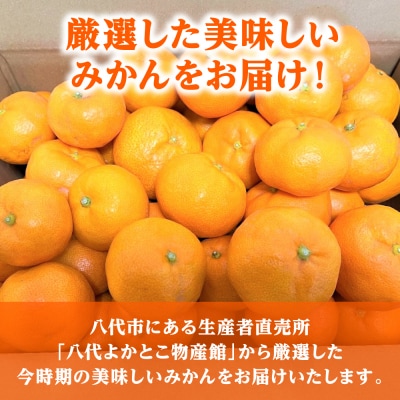 【先行予約】【訳あり】家庭用みかん 約5kg【2026年9月下旬より順次発送】_001-4031-F