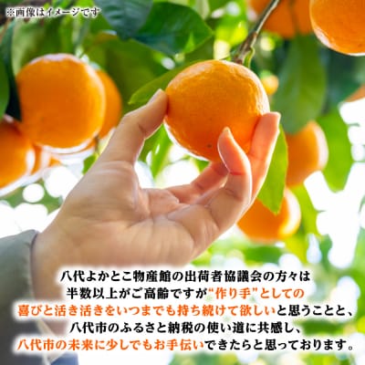 【先行予約】【訳あり】家庭用みかん 約5kg【2026年9月下旬より順次発送】_001-4031-F