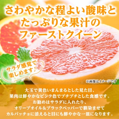 【先行予約】ファーストクイーン 2玉 【2026年10月下旬より順次発送】_001-4033-E