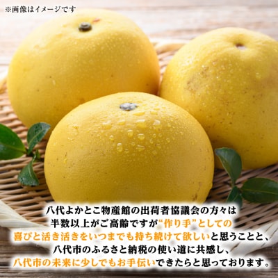 【先行予約】ファーストクイーン 2玉 【2026年10月下旬より順次発送】_001-4033-E