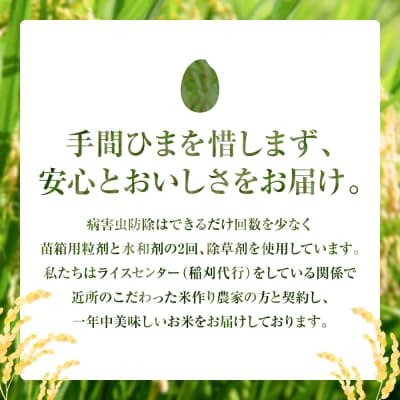 【令和7年産】 熊本県八代市産 森のくまさん 3kg×2袋_001-4321-F