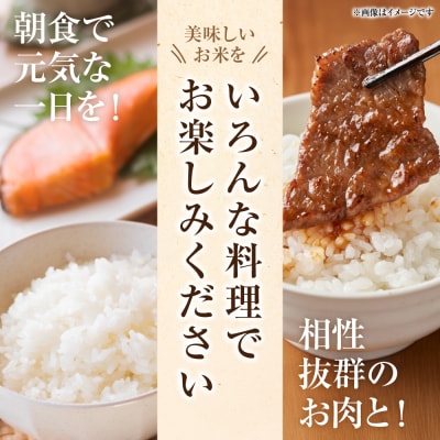 【令和7年産】 熊本県八代市産 森のくまさん 3kg×2袋_001-4321-F