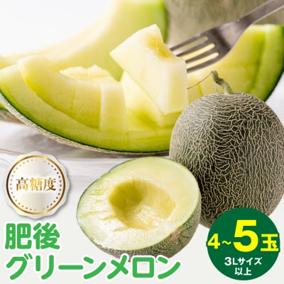 【先行予約】肥後グリーン3L以上 4～5玉【2026年5月中旬より順次発送】_001-4585-B