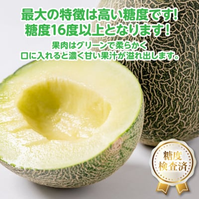 【先行予約】肥後グリーン 3L以上 2玉【2026年5月中旬より順次発送】_001-4586-C