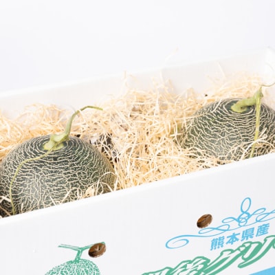 【先行予約】肥後グリーン 3L以上 2玉【2026年5月中旬より順次発送】_001-4586-C