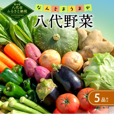 なんさまうまか八代野菜セット 5品以上 やさい 詰め合わせ 熊本県産_001-4642-D
