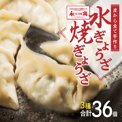 永正の水餃子・焼きぎょうざ セット 合計36個 3種 餃子_001-4644-B