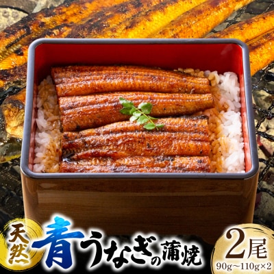 熊本県 八代市産 天然青うなぎの蒲焼 蒲焼セット 2尾_001-6718