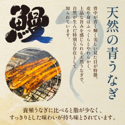 【8月以降のお届け】熊本県 八代市産 天然青うなぎの蒲焼 蒲焼セット 2尾_001-6718