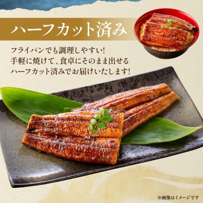 熊本県 八代市産 天然青うなぎの蒲焼 蒲焼セット 2尾_001-6718