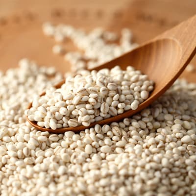 麦ごはん ぷちまる君 10kg 1kg×10袋 熊本県産大麦100% 小分け_006-1842