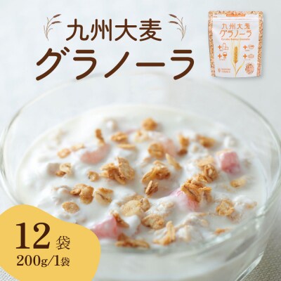 九州 大麦 グラノーラ 200g×12袋 国産_006-1843