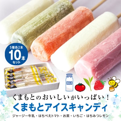 くまもと アイスキャンディ 10本セット_008-4475-C
