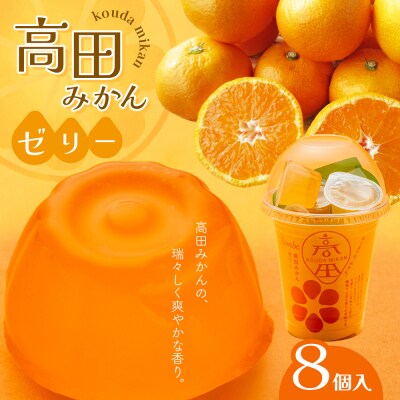 高田みかんゼリー　8個入_008-5978