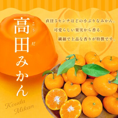 高田みかんゼリー　8個入_008-5978