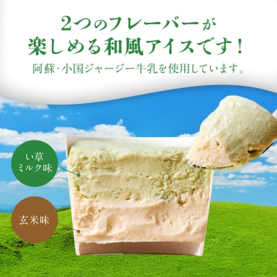 たたみアイス 12個入 いぐさ 畳 スイーツ_010-6601