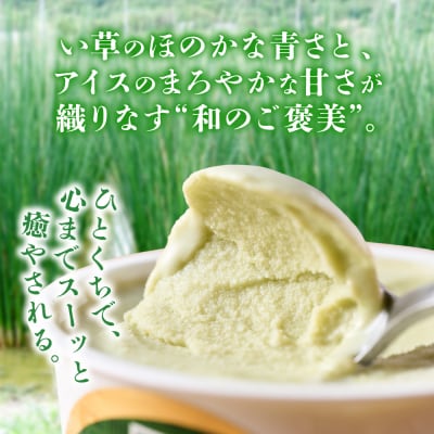 たたみアイス 12個入 いぐさ 畳 スイーツ_010-6601