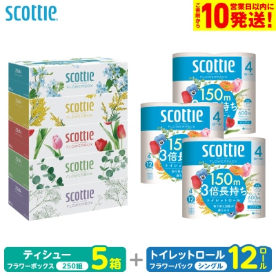 スコッティ ティシュー 250組 5箱 トイレットロール シングル 12ロール_186-6548