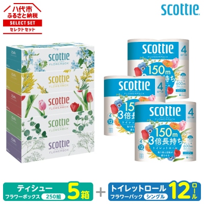 ティッシュ 250組5箱 + トイレットペーパー シングル 12ロール_186-6548 ティッシュ
