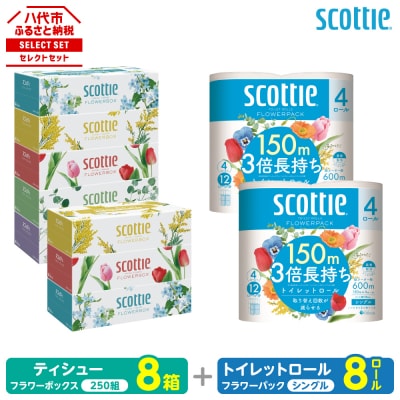 ティッシュ 250組 8箱 + トイレットペーパー シングル 8ロール スコッティ_186-6549