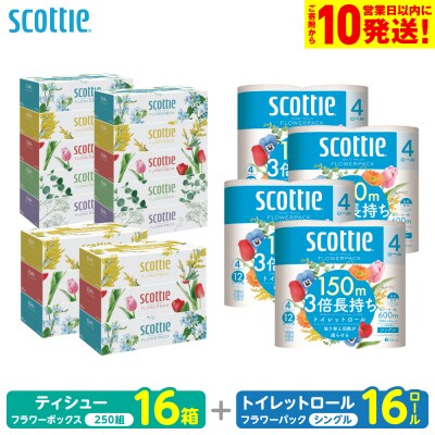 スコッティ ティシュー 250組 16箱 トイレットロール シングル 16ロール_186-6551
