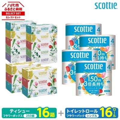ティッシュ 250組 16箱+ トイレットペーパー シングル 16ロールスコッティ_186-6551