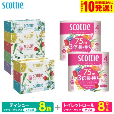 スコッティ ティシュー 250組 8箱 トイレットロール ダブル 8ロール_186-6553