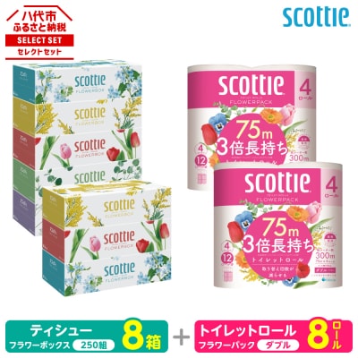 ティッシュ 250組 8箱 + トイレットペーパー ダブル 8ロール スコッティ_186-6553