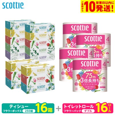 スコッティ ティシュー 250組 16箱 トイレットロール ダブル 16ロール_186-6555