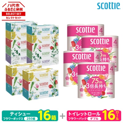 ティッシュ 250組 16箱 +トイレットペーパー ダブル 16ロール スコッティ_186-6555