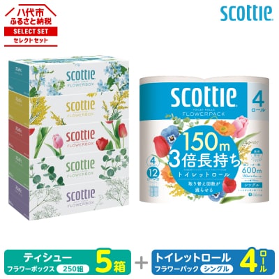 ティッシュ 250組 5箱 + トイレットペーパー シングル 4ロール スコッティ_186-6705