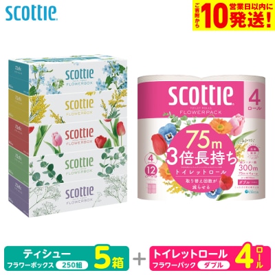 スコッティ ティシュー 250組 5箱 トイレットロール ダブル 4ロール_186-6708