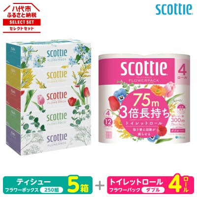 ティッシュ 250組 5箱 + トイレットペーパー ダブル 4ロール スコッティ_186-6708