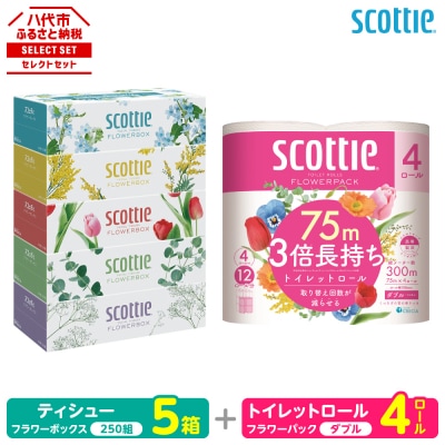 ティッシュ 250組 5箱 + トイレットペーパー ダブル 4ロール スコッティ_186-6708